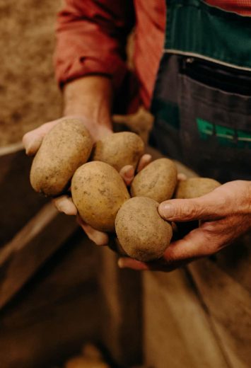 Chips Gern Land Kartoffelbauer
