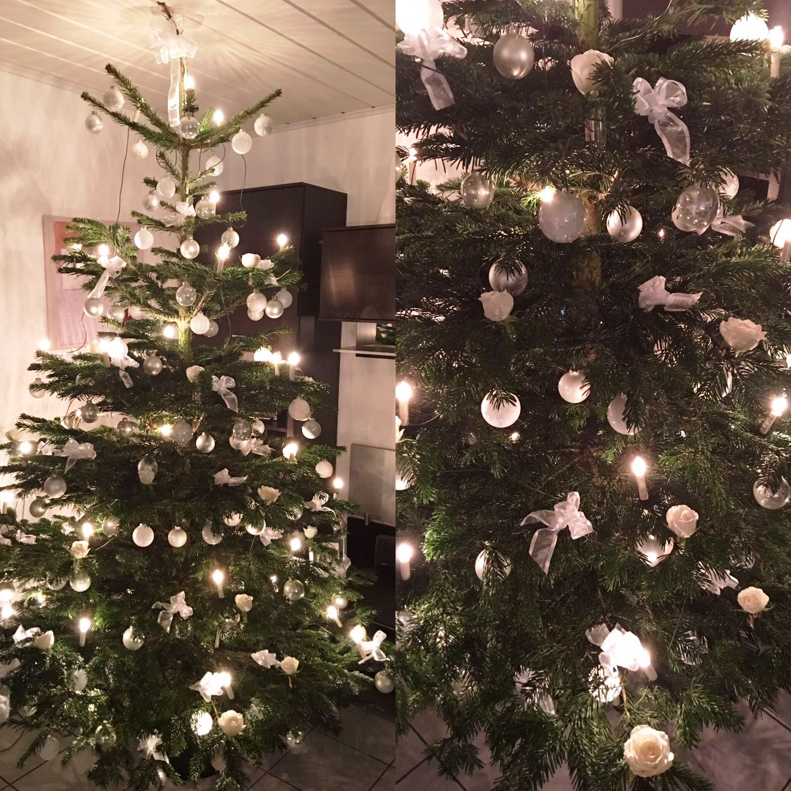 Christbaum, Rosen, Weihnachten, Stefan O.