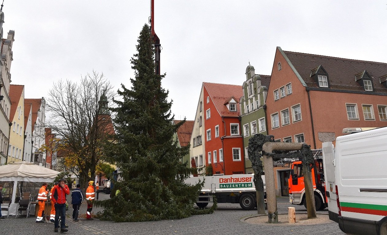Christbaum Weihnachtsbaum Weiden 2