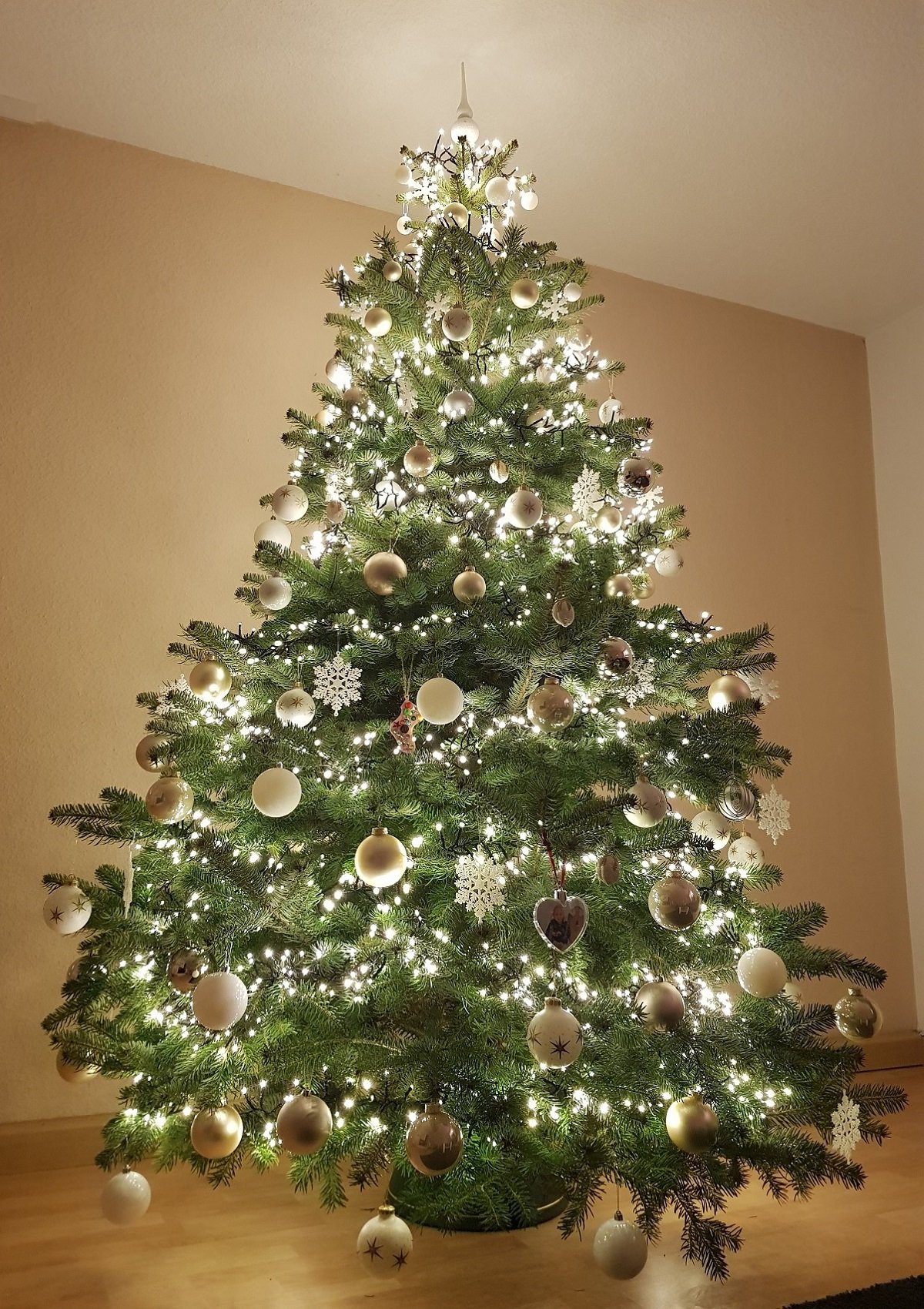 Christbaumloben 2019_1_Christiana Lapadat