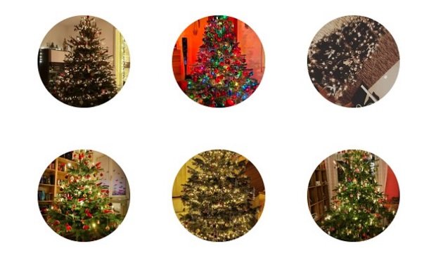 Christbaumloben 2019_Teaser_2