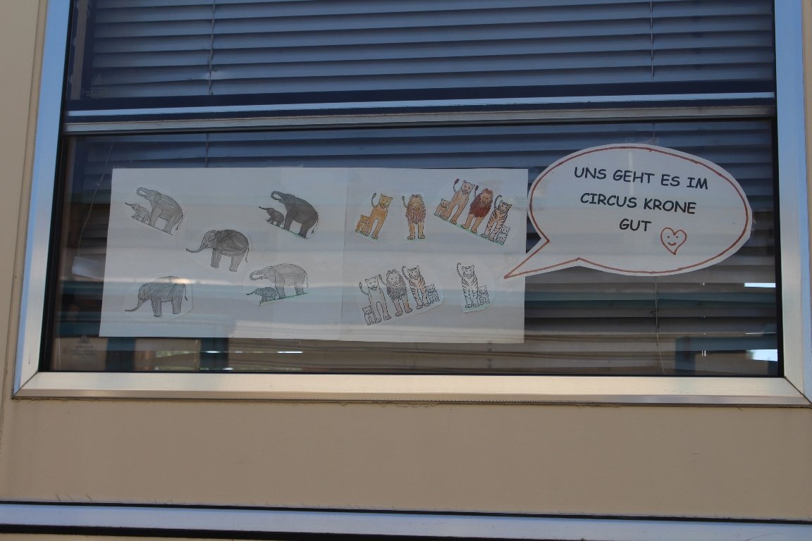 Circus Krone Schule Zirkusschule