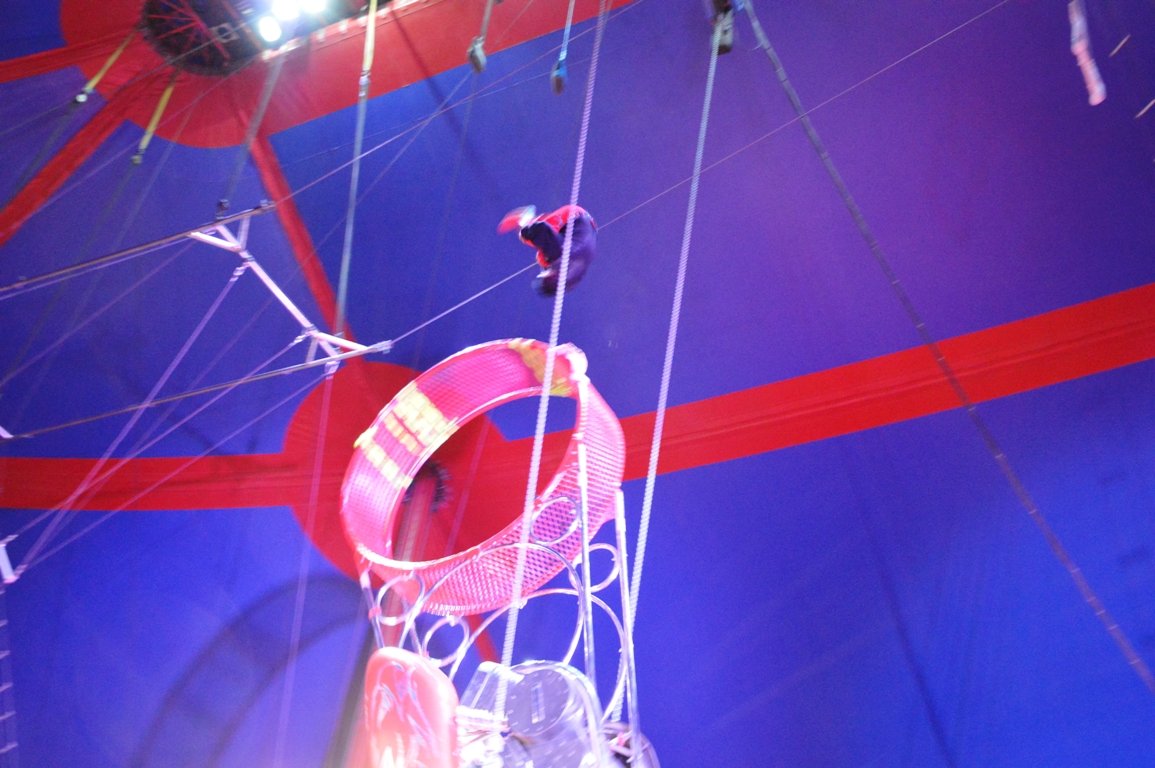 Circus Krone Weiden 2017 (13)