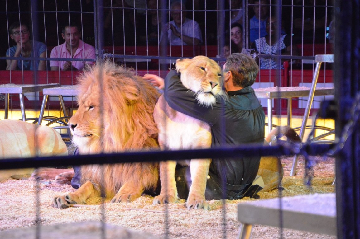 Circus Krone Weiden 2017 (18)