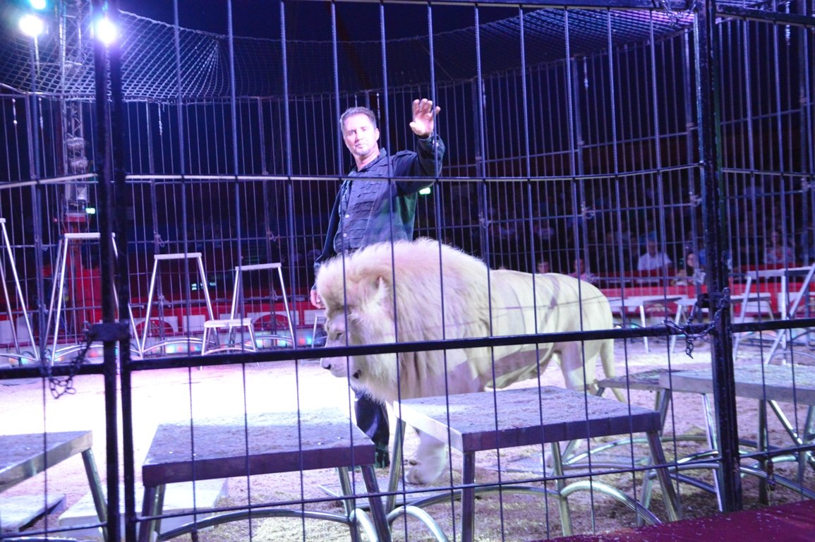 Circus Krone Weiden 2017 (20)