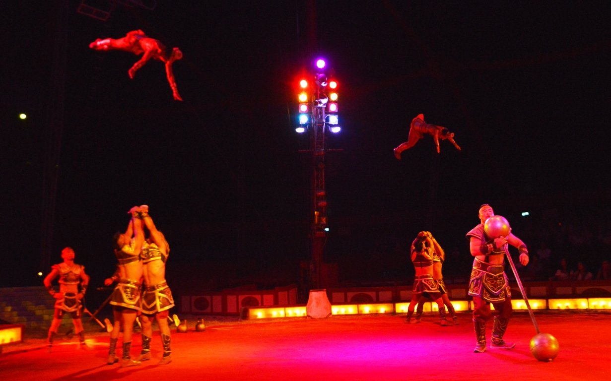 Circus Krone Weiden 2017 (23)
