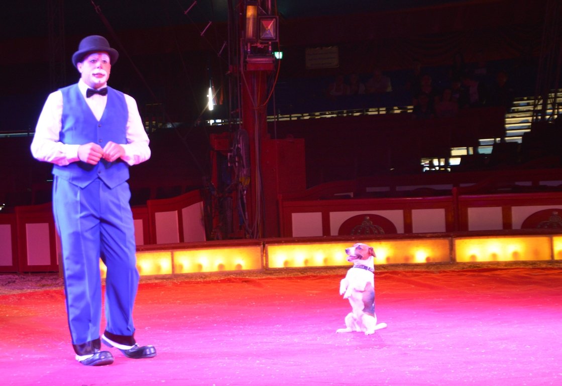 Circus Krone Weiden 2017 (8)