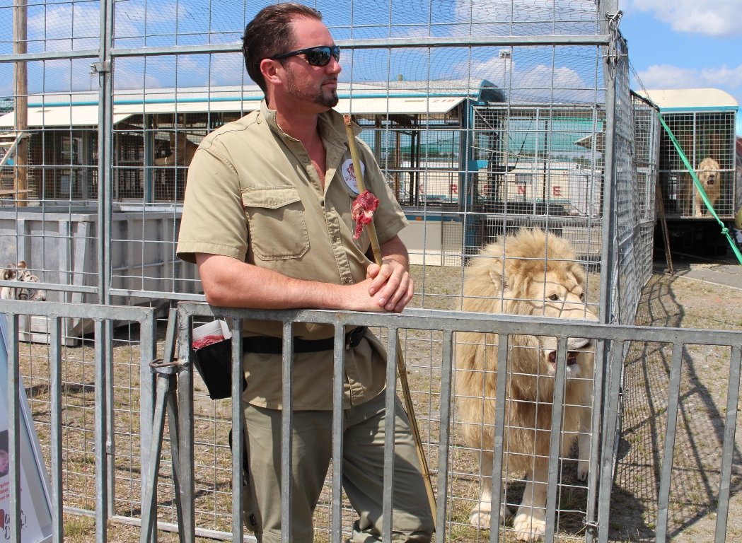 Circus Krone Weiden Zirkus Löwe Martin Lacey Junior Tiertrainer Beluga Bild Jasmina