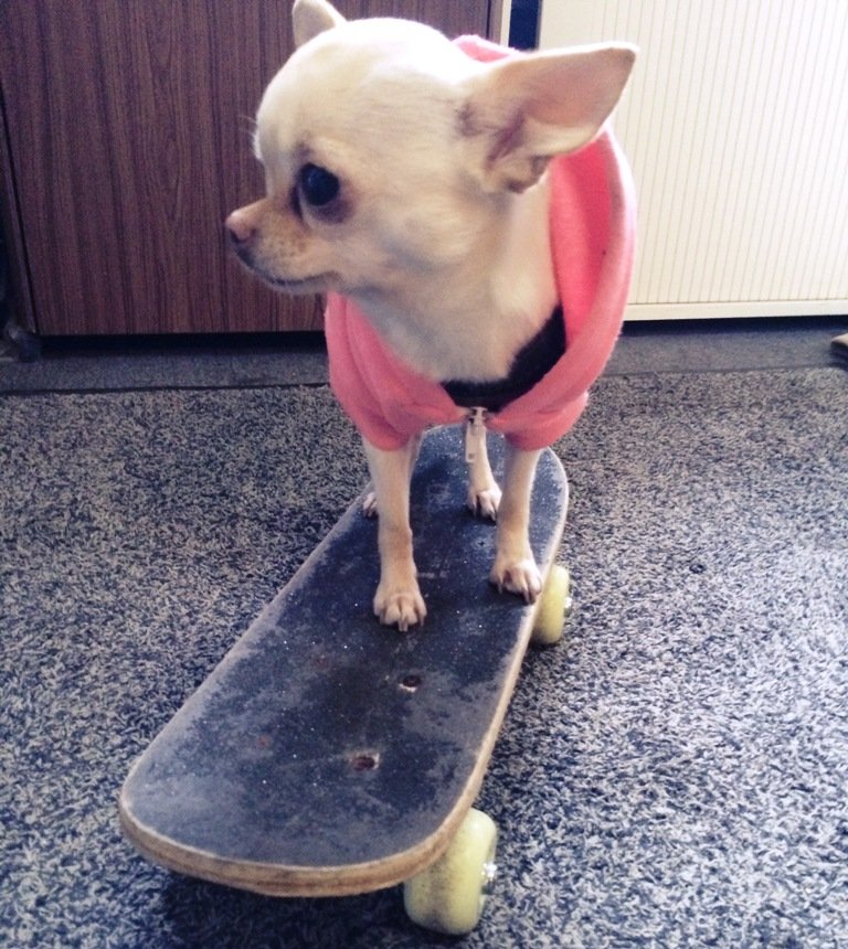 Coco von Annett Heindl