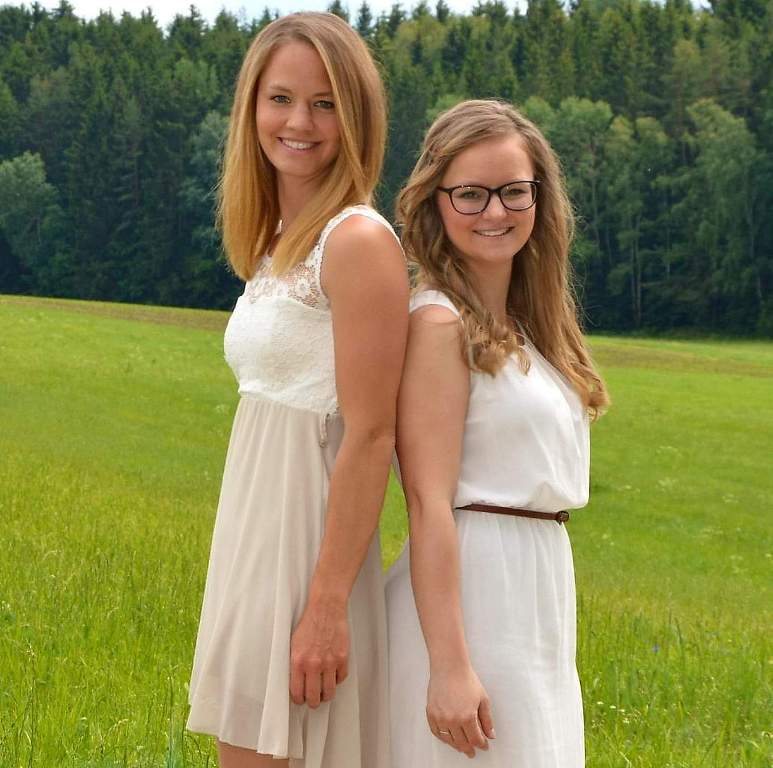 „Musik und Text“ für Delfintherapie