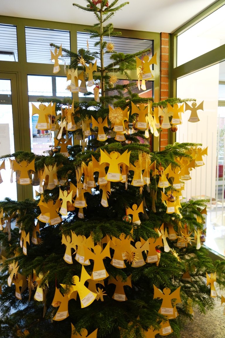 Ein Baum für Weiden