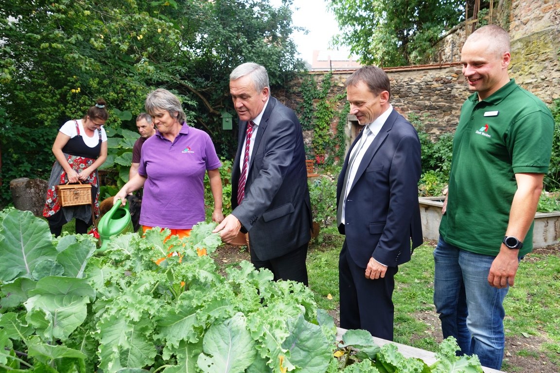 Stadtgarten Ernte Weiden