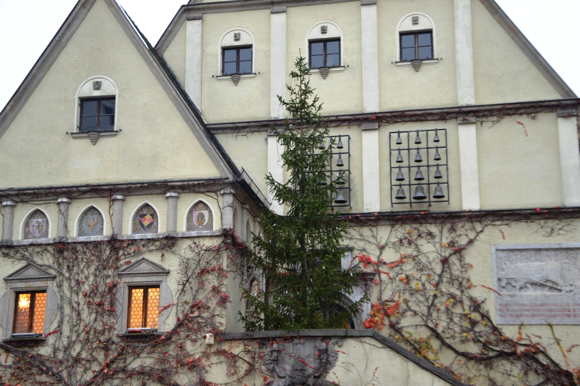 Christbaum Rathaus Weiden Weihnachtsbaum Fichte