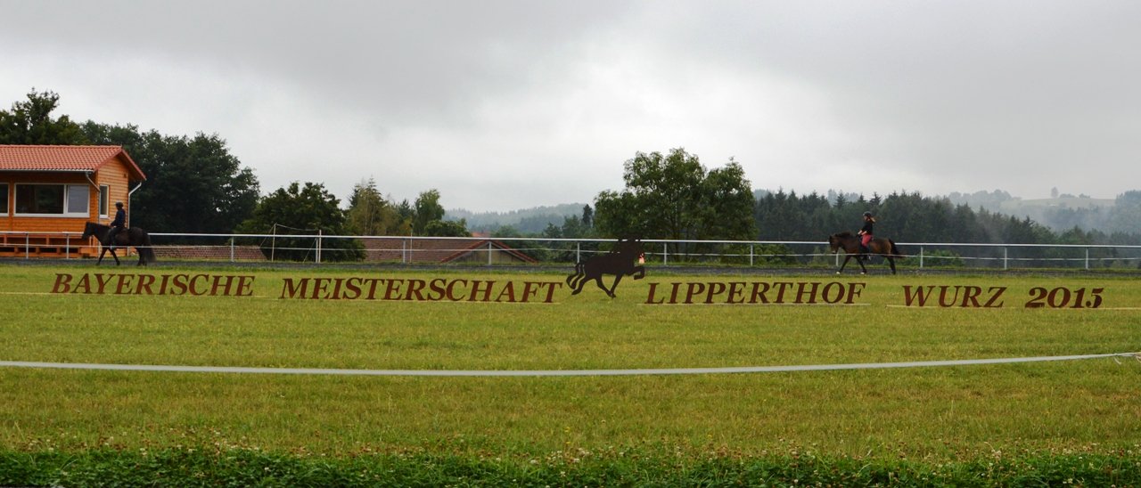 Bayrische Islandpferdemeisterschaften Wurz 2015