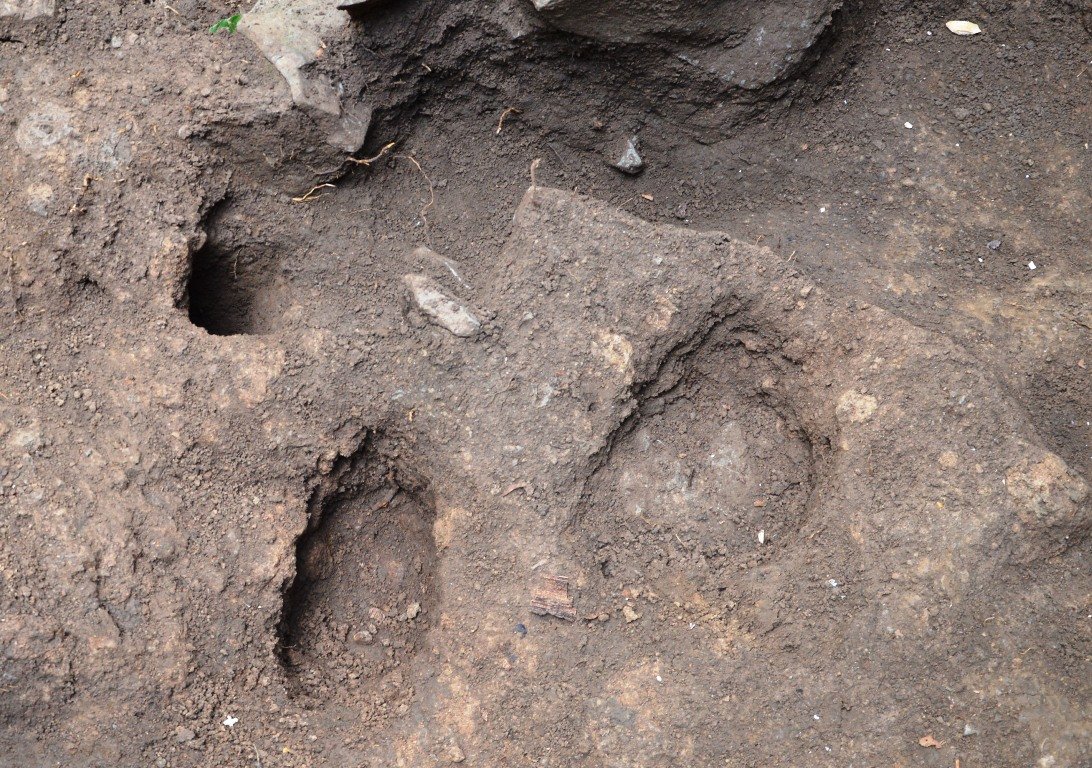 Ausgrabungen Rauher Kulm 2015