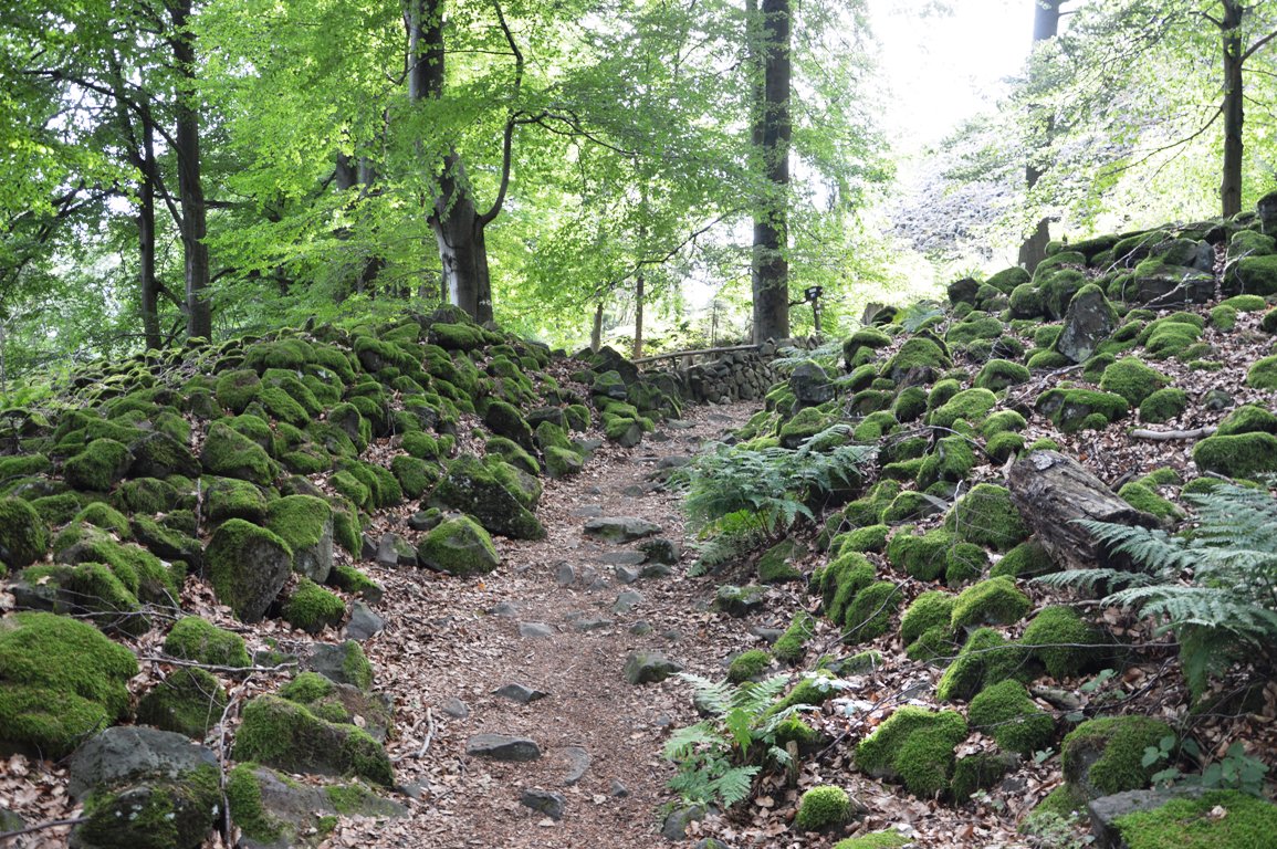 Ausgrabungen Rauher Kulm 2015