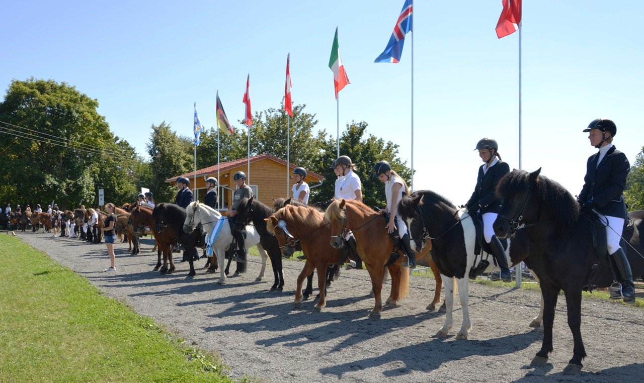 BIM 2015 Wurz