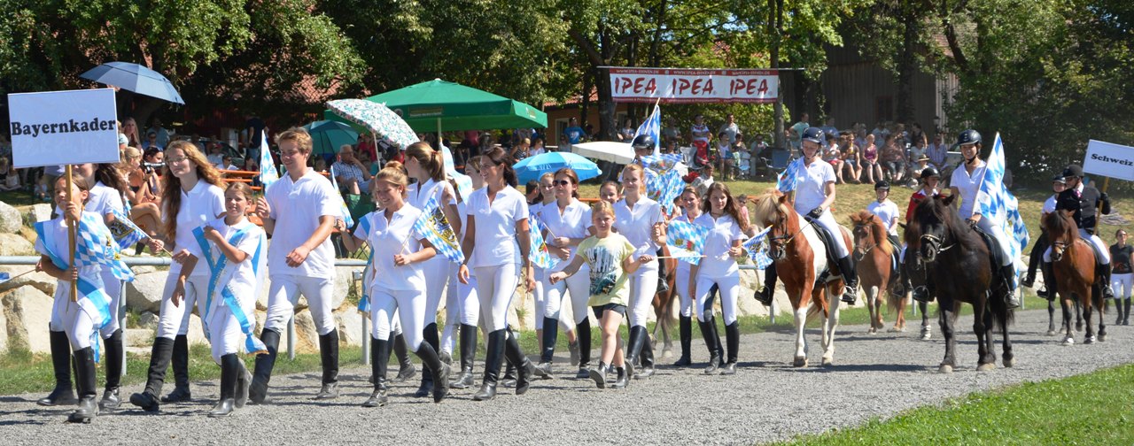 BIM 2015 Wurz