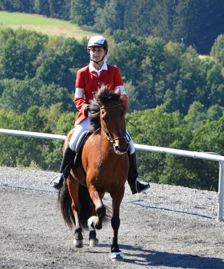 BIM 2015 Wurz