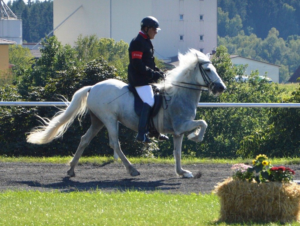 BIM 2015 Wurz