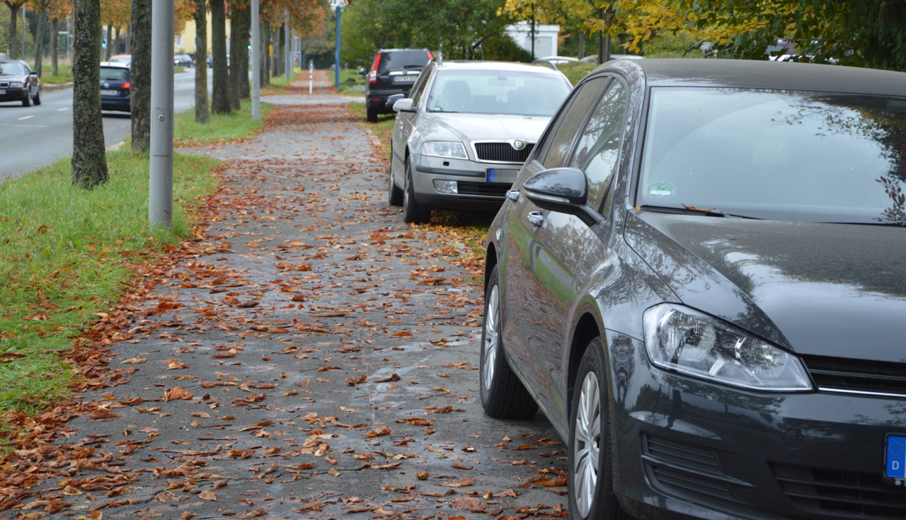 FOS BOS Parken OTH Weiden