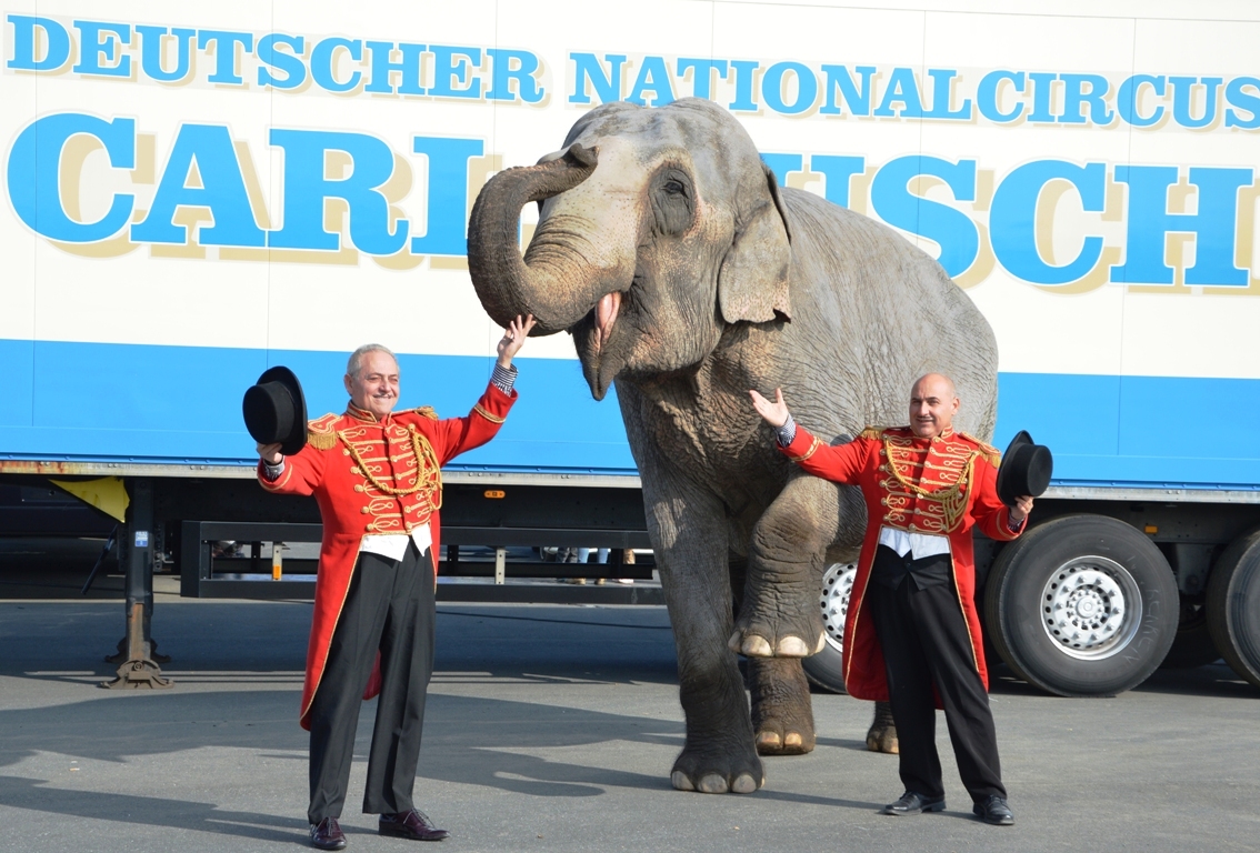 Zirkus Circus Carl Busch