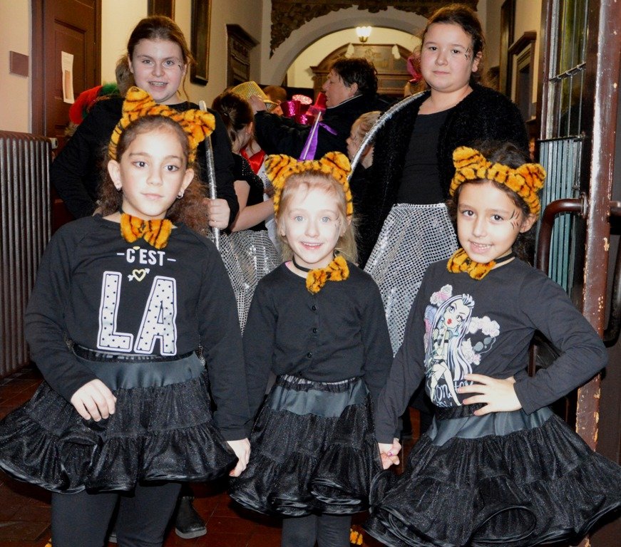 Faschingstreiben Weiden, Fasching, Narrhalla Weiden, Garde