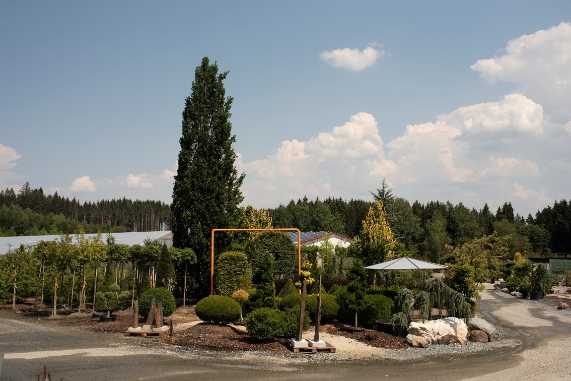 Garten Punzmann Artikel Azubi