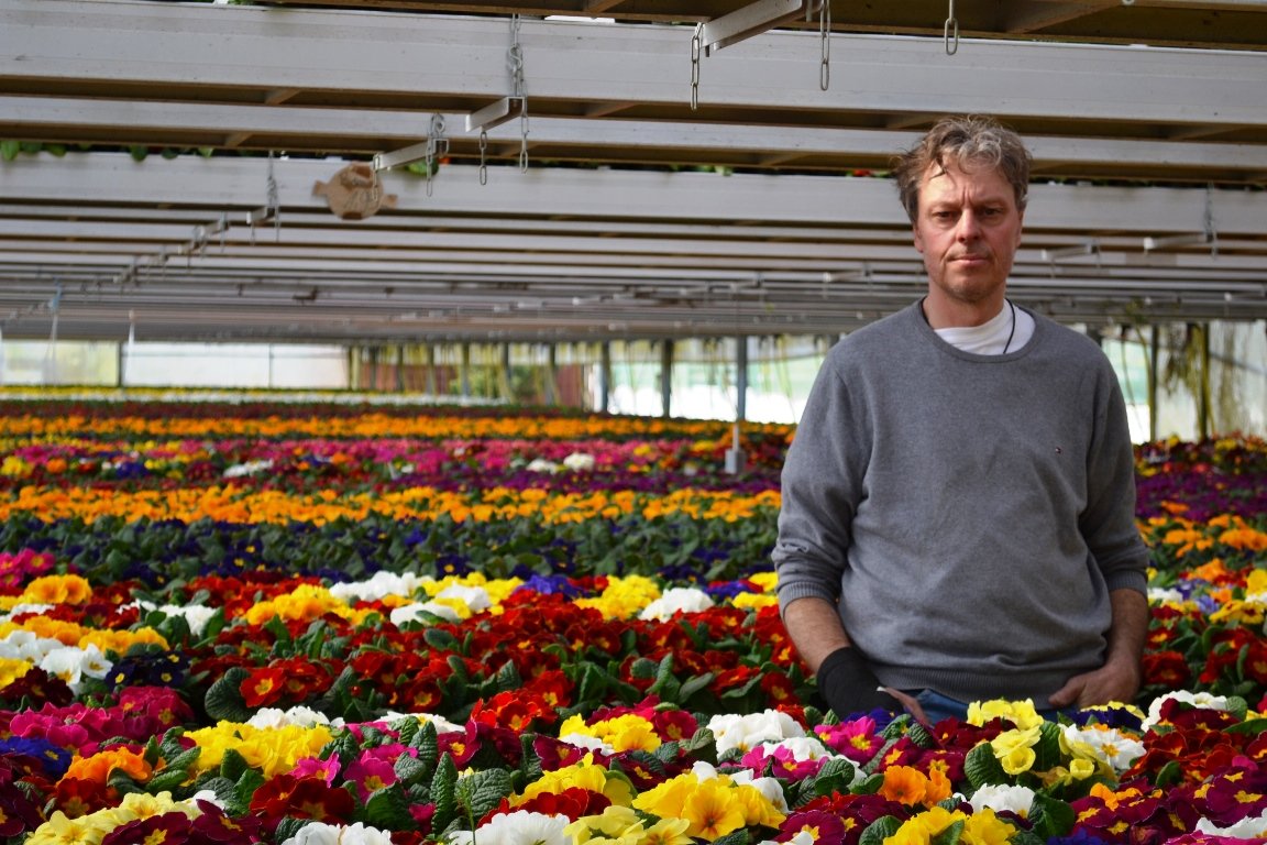 Gärtnerei Schinner kämpft mit Folgen der Corona-Pandemie