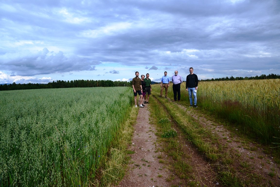 Photovoltaikanlage Luhe-Wildenau Pläne