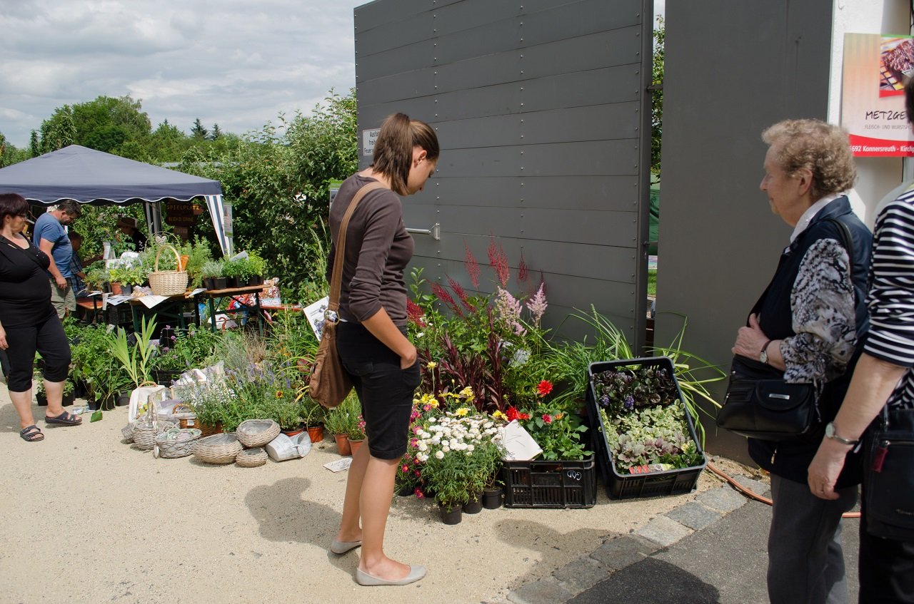 Viele Besucher nutzten die Gelegenheit und schlenderten am 