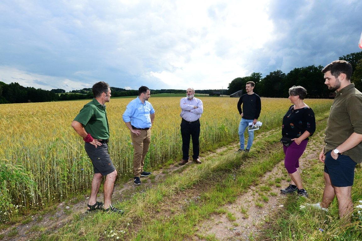 Photovoltaikanlage Luhe-Wildenau Pläne