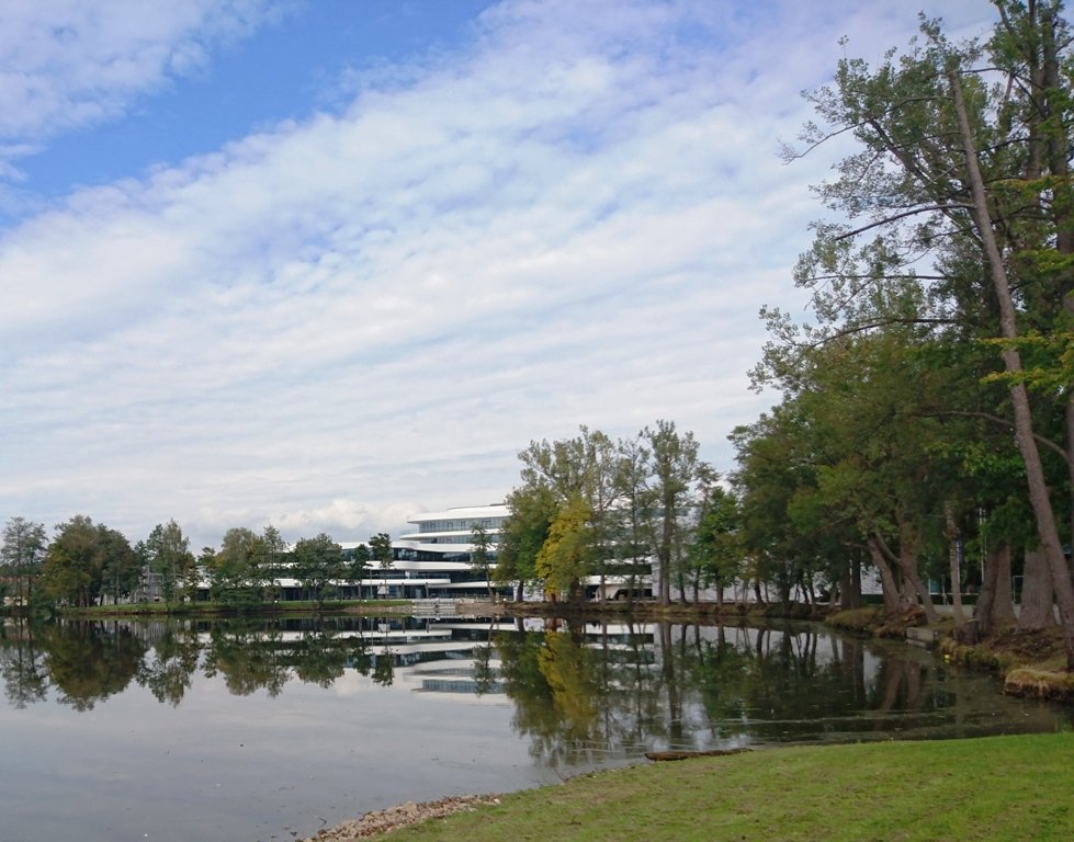 Chef schmeißt hin: BHS Elements braucht Nachfolger