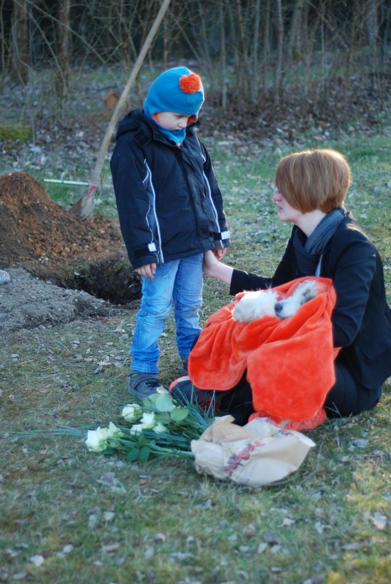 Tierbeerdigung, Tierfriedhof Weiden