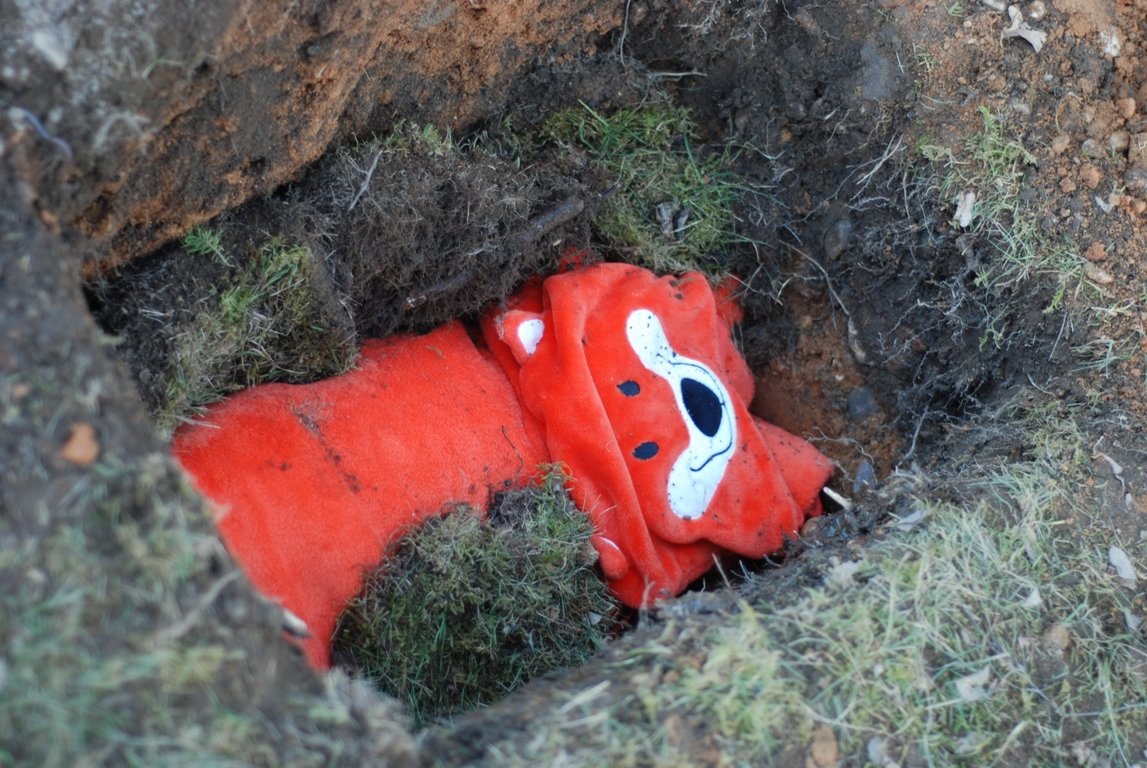 Tierbeerdigung, Tierfriedhof Weiden