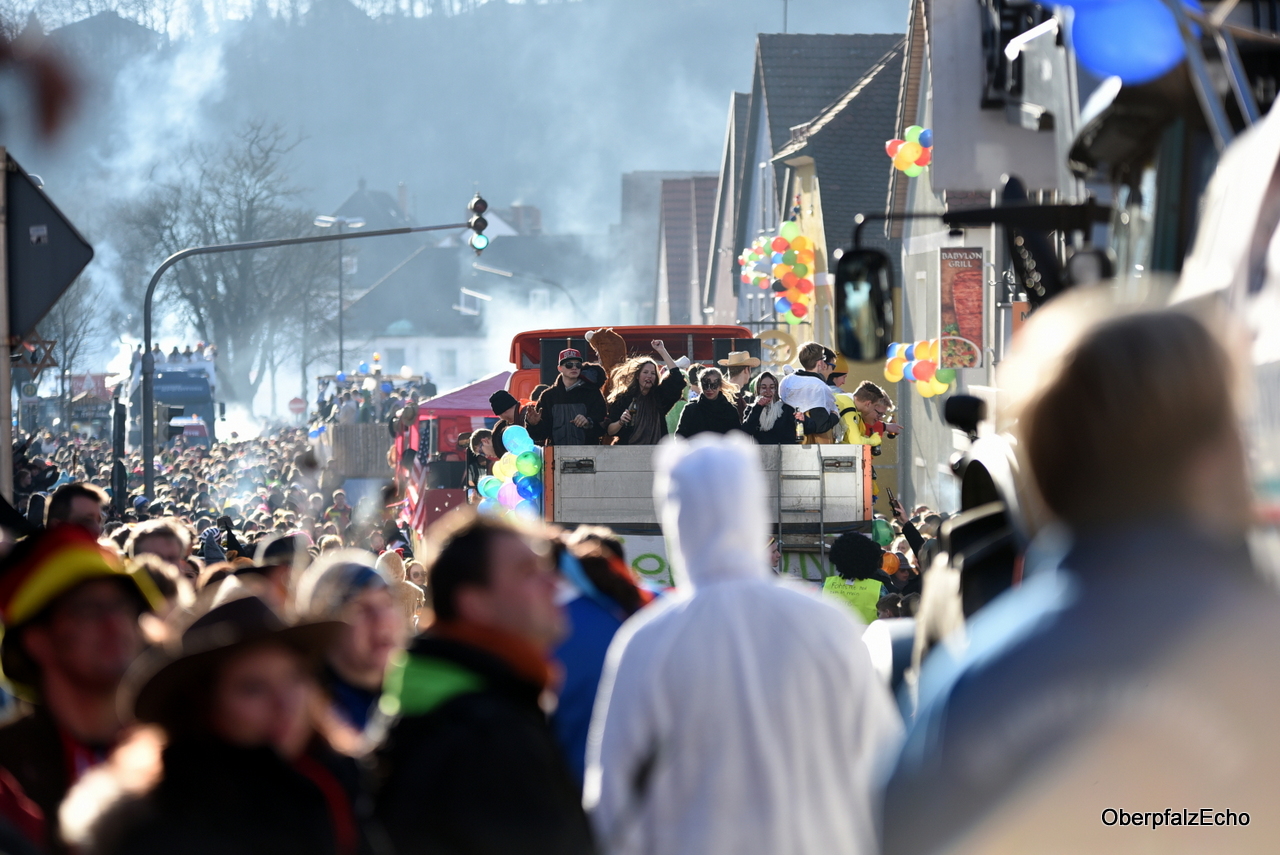Fasching Faschingszug Neustadt Karneval
