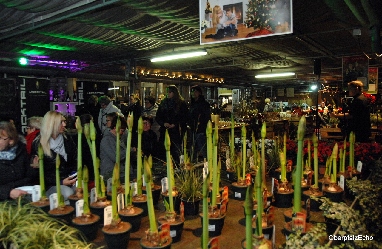 Gärtnerei Steinhilber