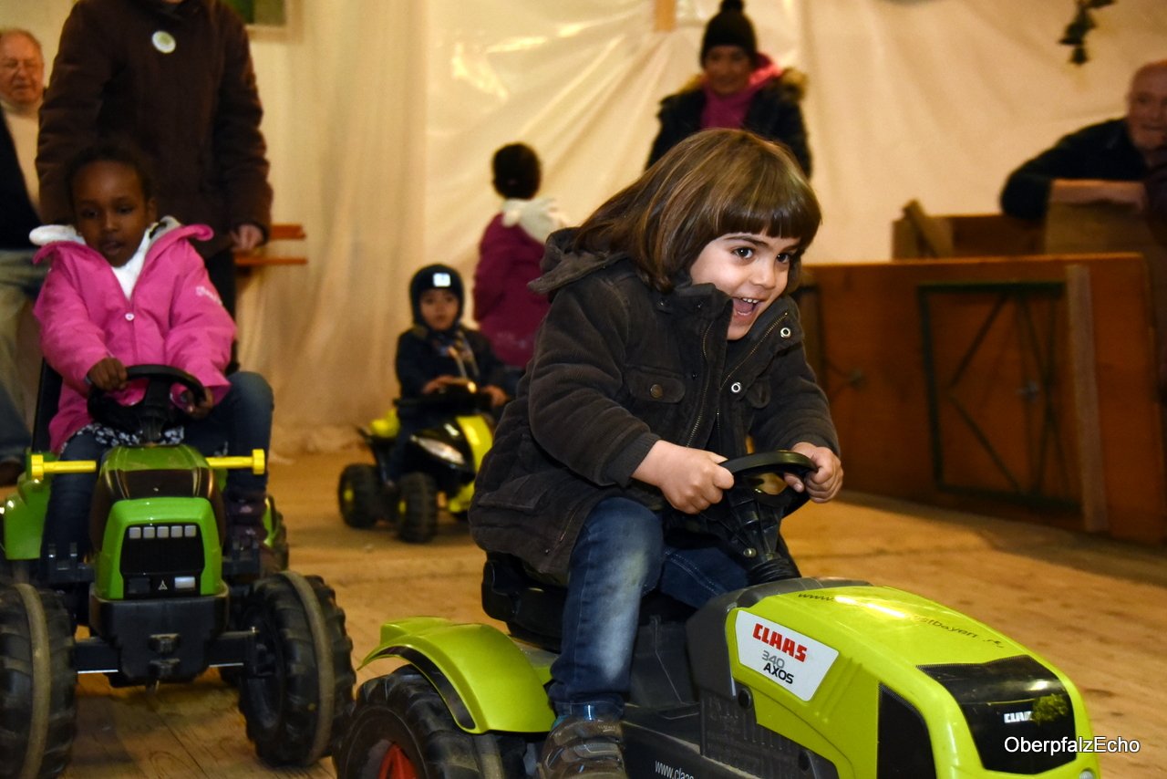 Tretbulldog Irchenrieth Kick