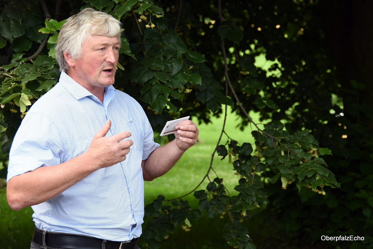 Mehrwertsteuererhöhung auf Lebensmittel die Lösung?