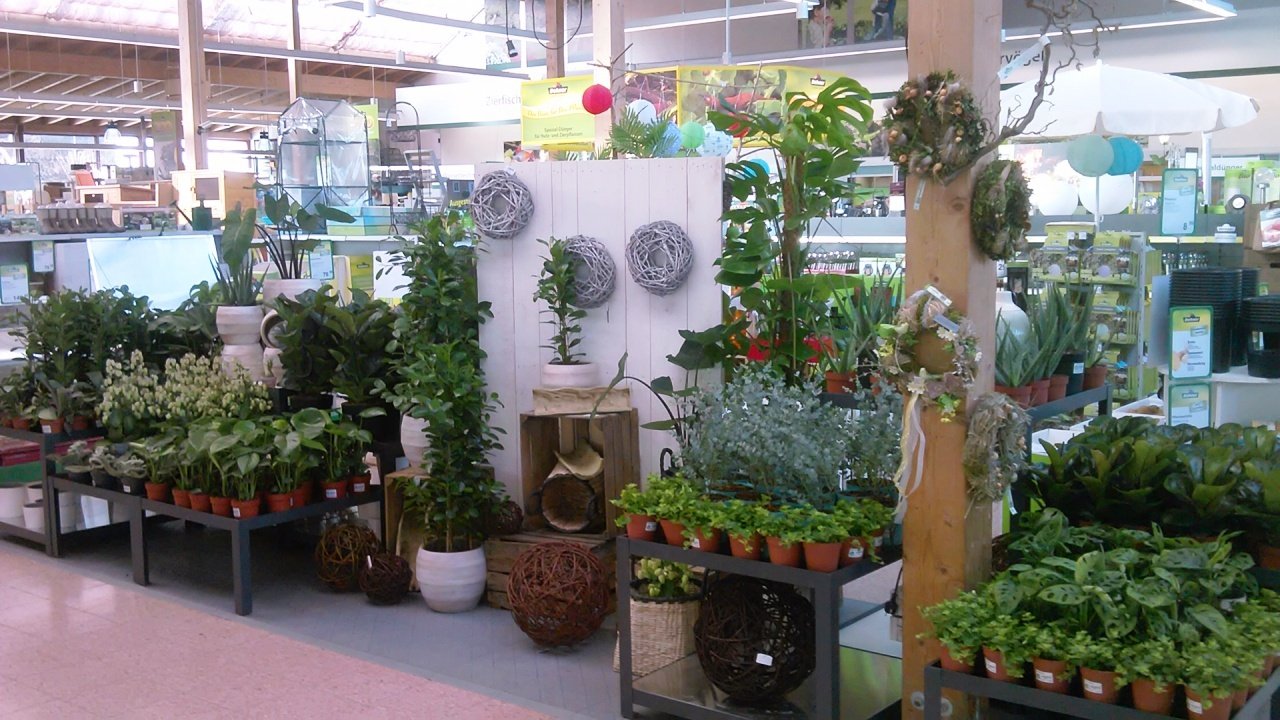 Dehner Weiden Blumen Deko Blatt