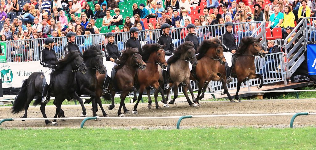 Der Deutsche Kader Islandpferde Lipperthof Wurz DIM 2017