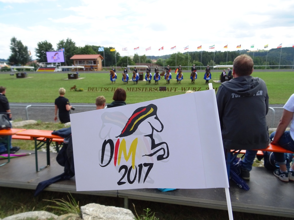 Deutsche Islandpferde Meisterschaft am Lipperthof: Heiße Wettkämpfe trotz Regen