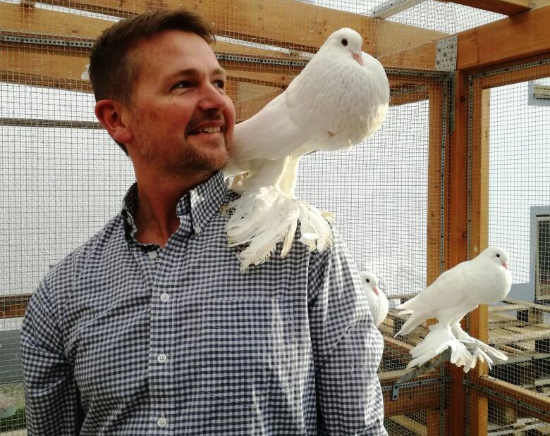 Deutscher Meister Rassetauben Taubenzucht Matthias Sauer (1)