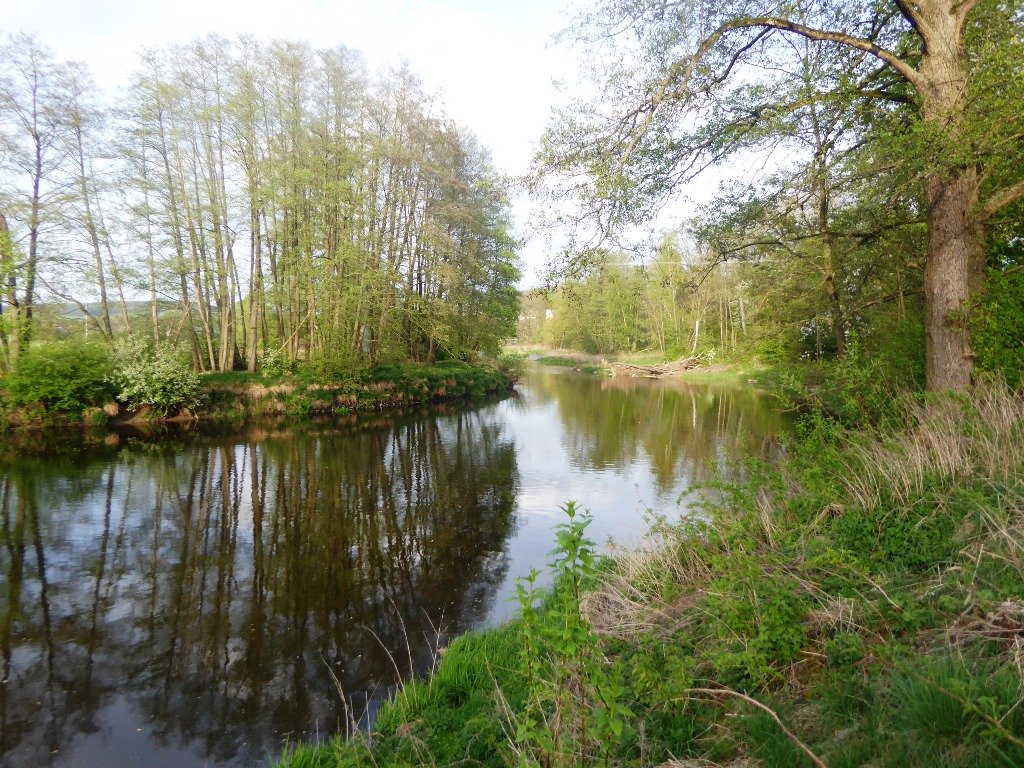 Die Naab bei Luhe am Forst, Wanderweg Luhe-Wildenau