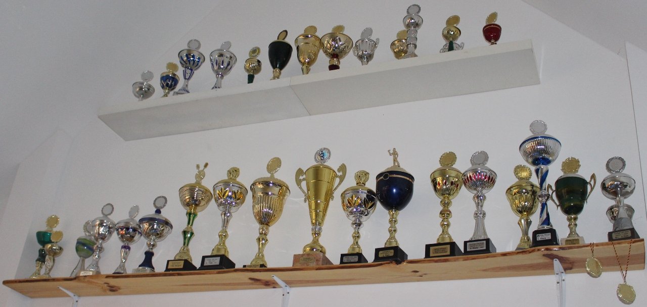 Don Promillo's Rothenstadt Dartverein 11 Bild Jasmina