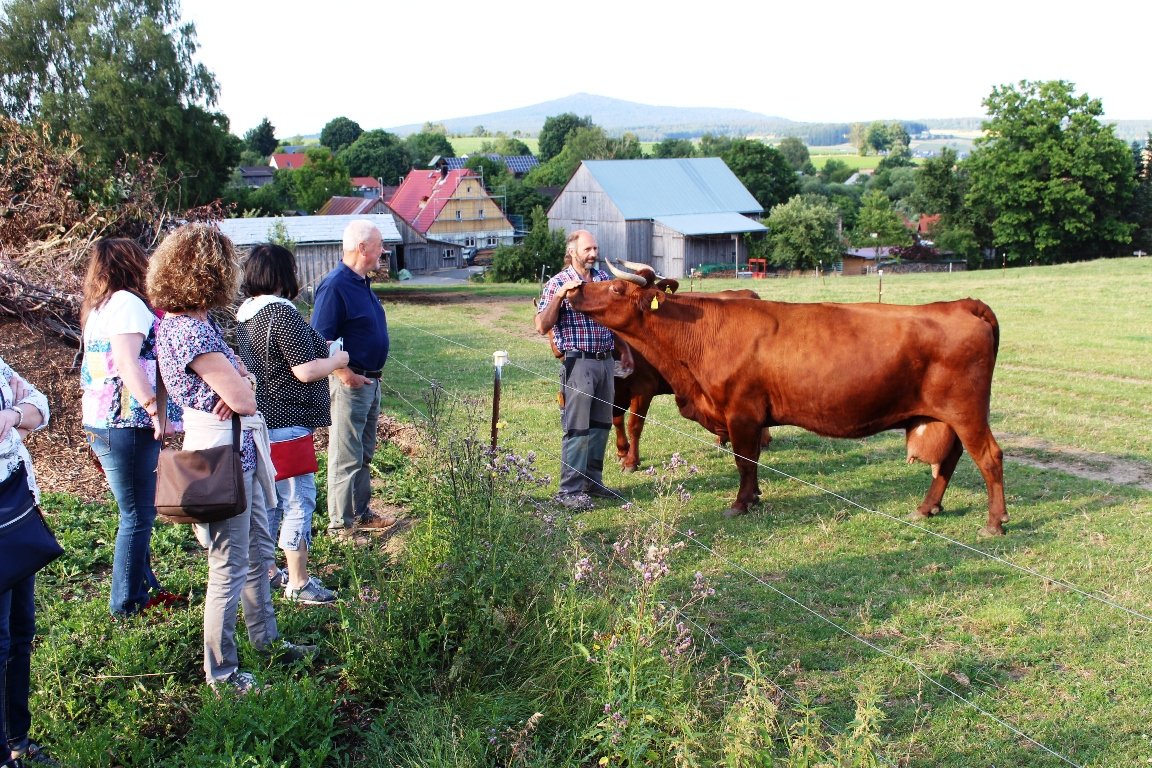 Zu Besuch beim Biobauernhof Köstler