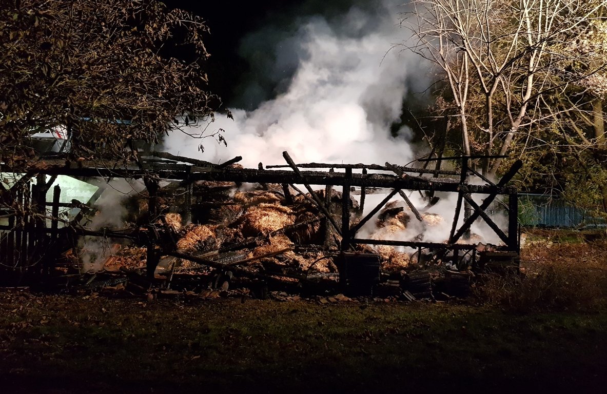 Einsatz Brand Luhe-Wildenau THW Weiden Brandserie Grünau (7)