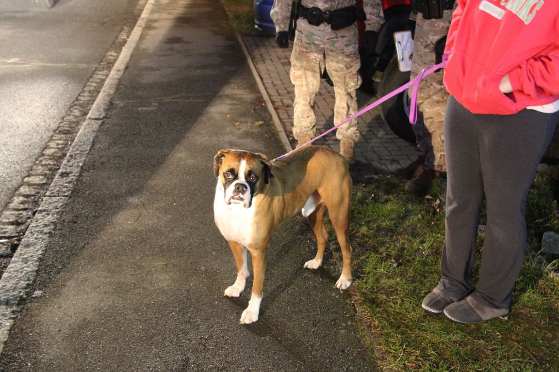 Einsatz Feuerwehr Kaltenbrunn Hund gerettet Rauch aus Haus