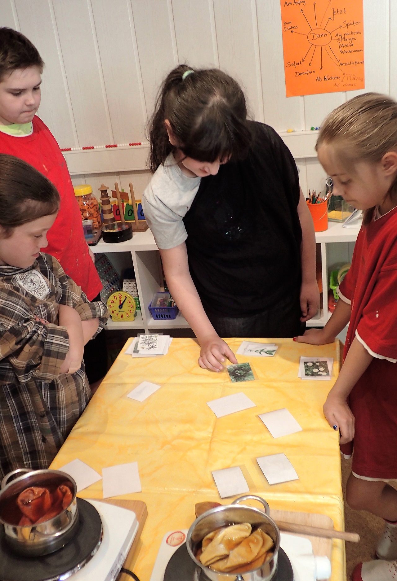 Elly P-Seminar Schulgarten färben Ferienbetreuung