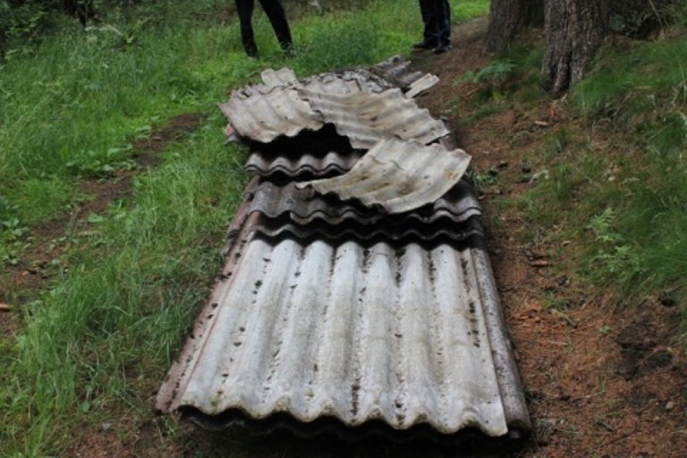 Eternitplatten im Wald entsorgt